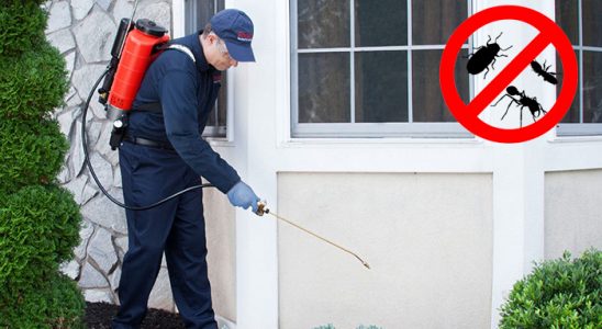 Boyalık Böcek ve Haşere İlaçlama böcek ilaçlama ve haşere kontrolü — ilaclama-tr.com